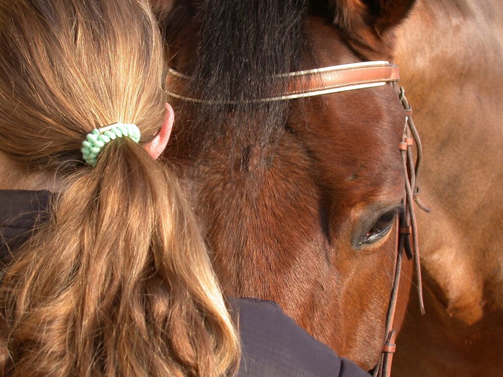 Pourquoi_adopter_un_ponytail ?